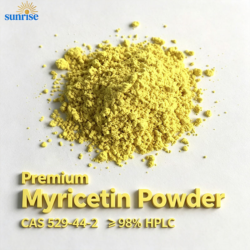 Premium Myricetin Powder | CAS 529-44-2 | ≥ 98.0% HPLC Standardized Extract