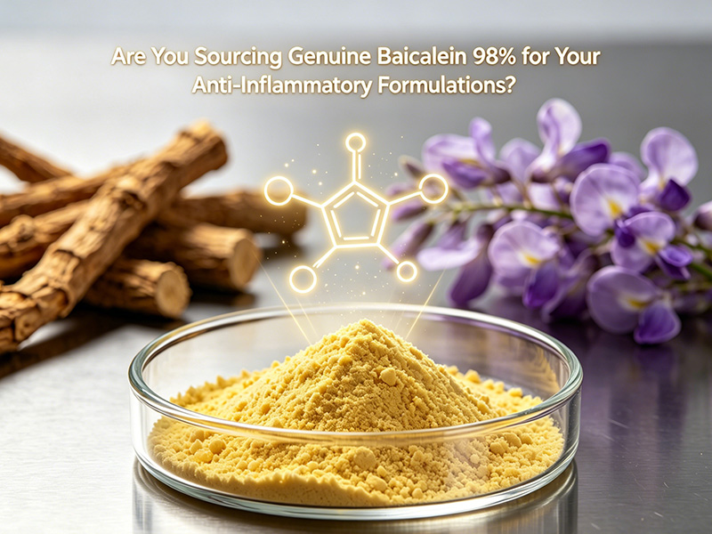Are You Sourcing Genuine Baicalein 98%? | Shaanxi Sunrise