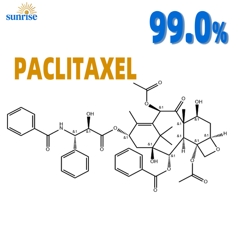 Paclitaxel API CAS 33069-62-4