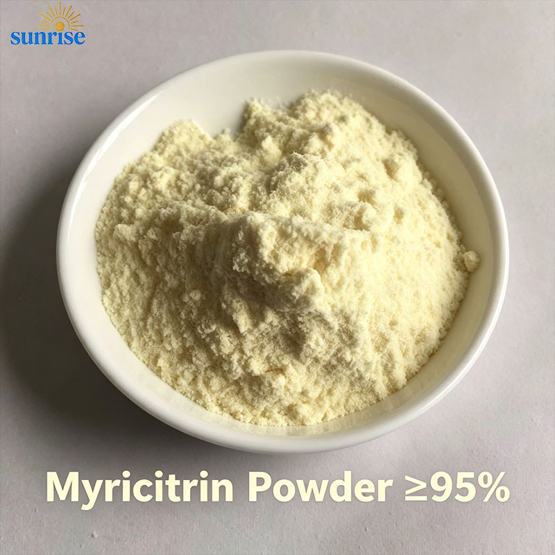 Premium Myricitrin Powder (≥ 95.0% HPLC) | CAS 17912-87-7 | Myrica rubra Extract Premium Myricitrin Powder (≥ 95.0% HPLC) | CAS 17912-87-7 | Myrica rubra Extract