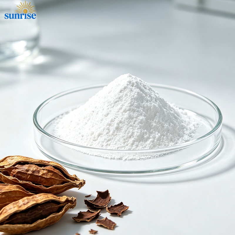 Soapnut Extract 90% Saponins Powder CAS 223748-41-2 Natural Surfactant