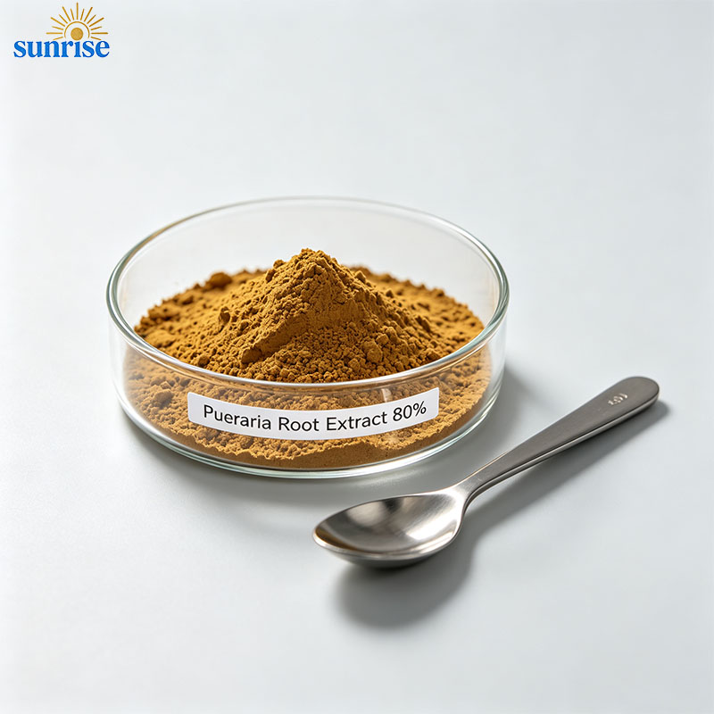 Curcumin 95% & 98% Powder CAS 458-37-7 Curcumin 95% & 98% Powder CAS 458-37-7