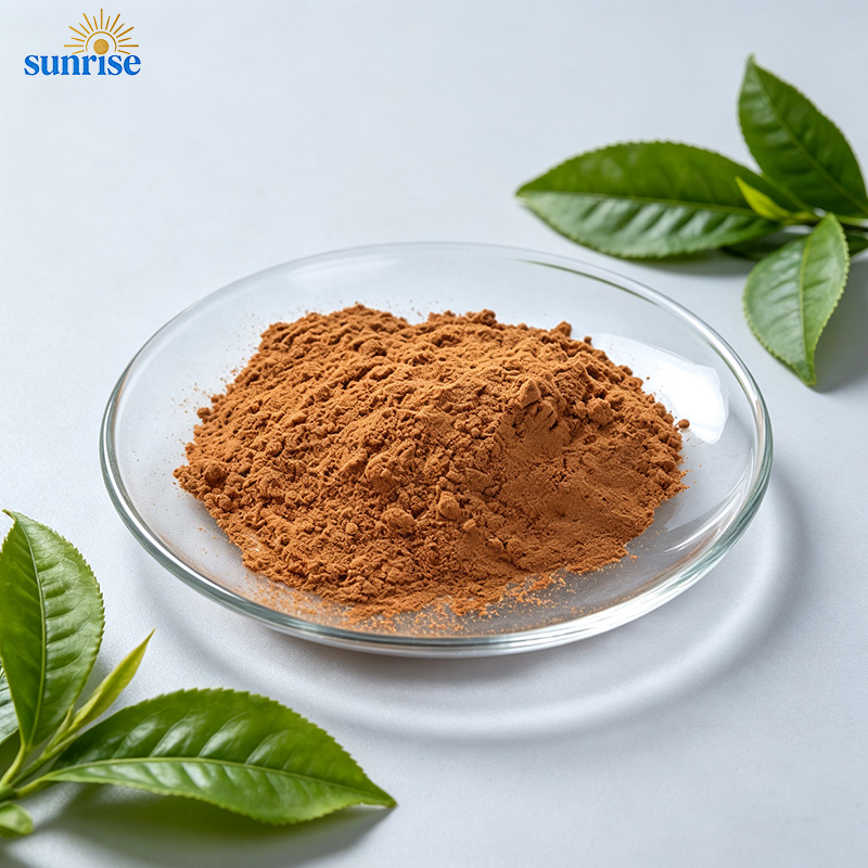 Tea Polyphenol 98% Powder