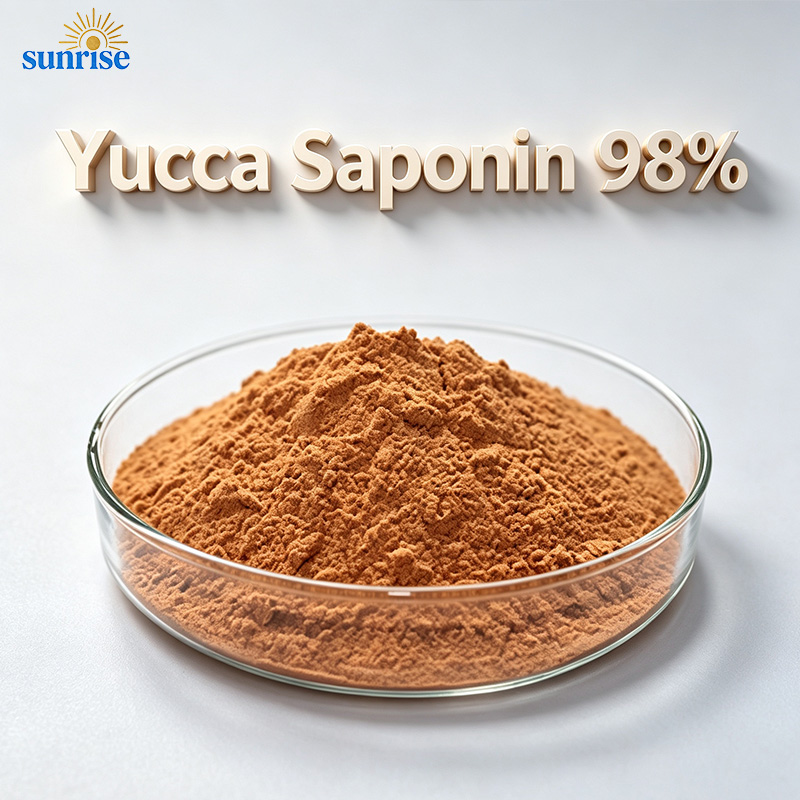 Yucca Saponin 98% Powder Yucca Saponin 98% Powder