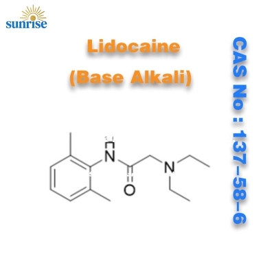 Lidocaine (base alkali) anesthesia CAS No: 137-58-6