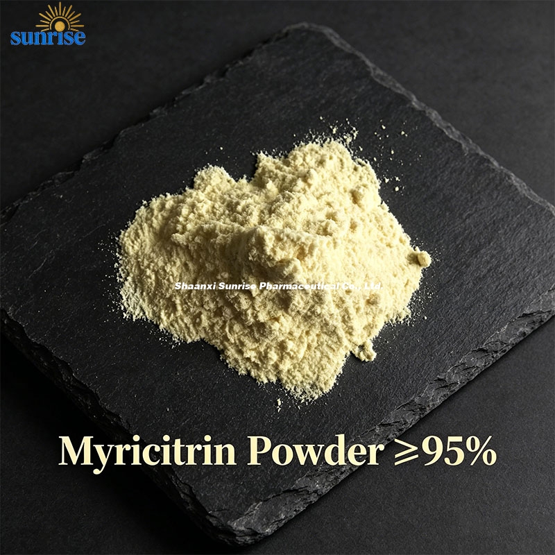Premium Myricetin Powder (≥ 95% HPLC) 2 Premium Myricetin Powder (≥ 95% HPLC) 2