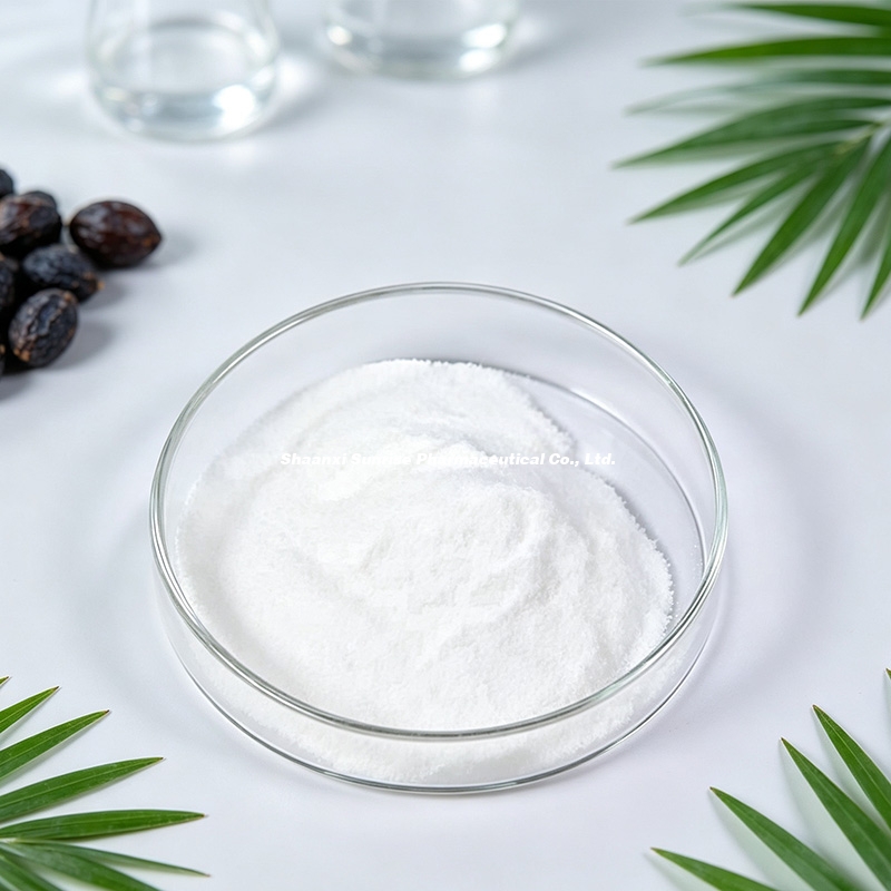 Saw Palmetto Extract 1 Saw Palmetto Extract 1