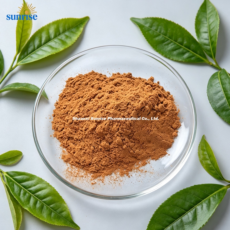 Tea Polyphenol 98% Powder 2 Tea Polyphenol 98% Powder 2