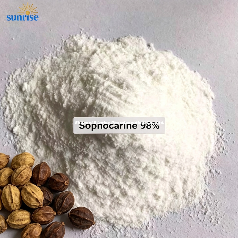 Sophocarpine 98%  3