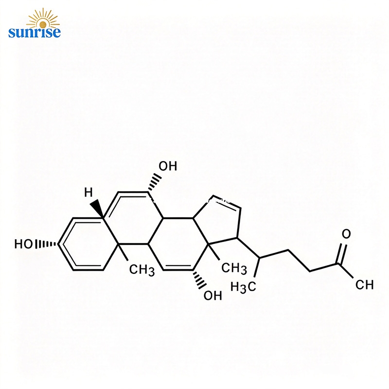 Ox Bile Extract Powder 2