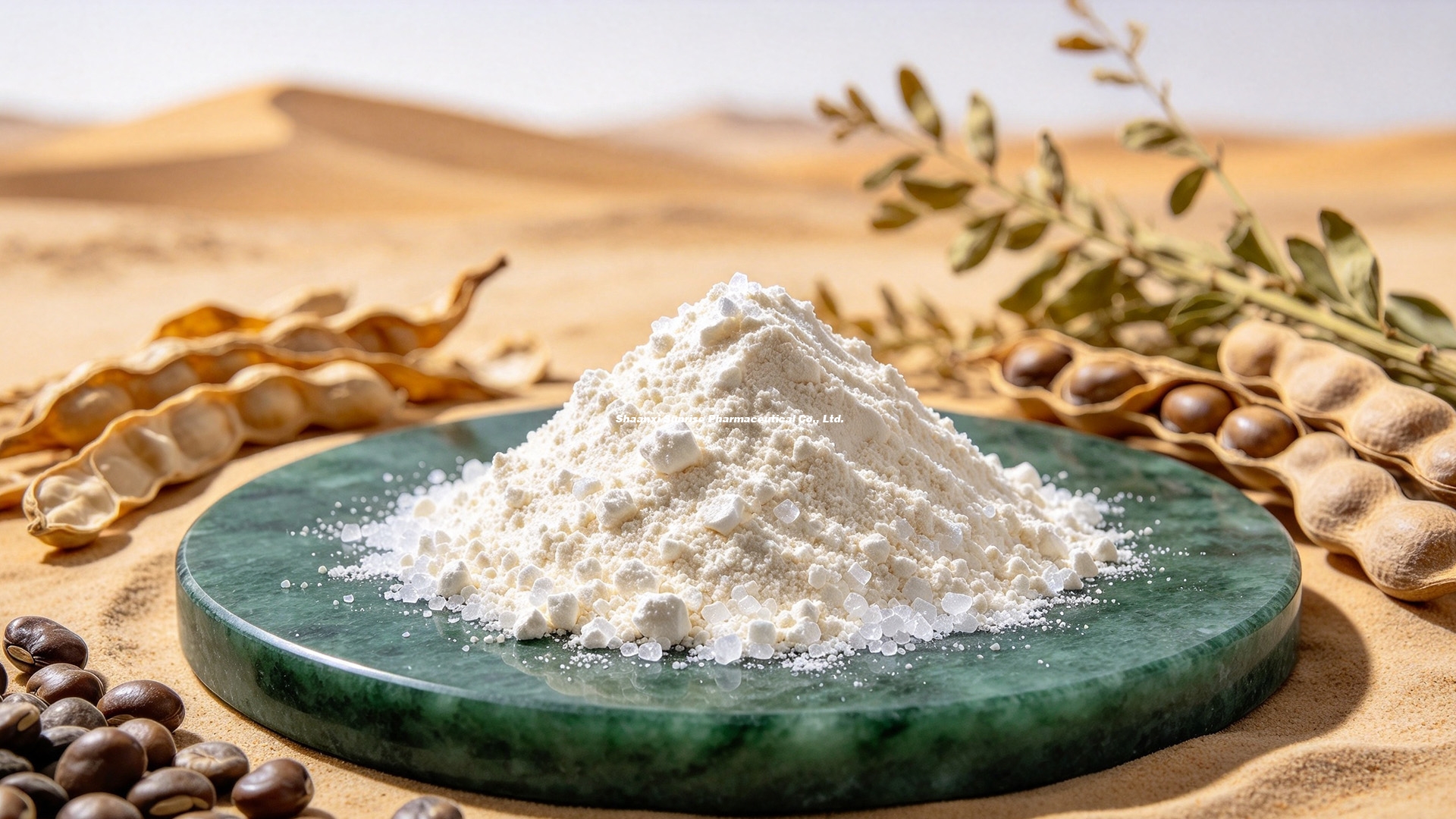 Bulk Sophocarpine 98% Powder (Sophora Extract)  A Sourcing Guide for R&D   2